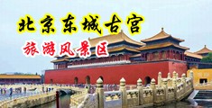 骚货嫩穴高清无码视频中国北京-东城古宫旅游风景区